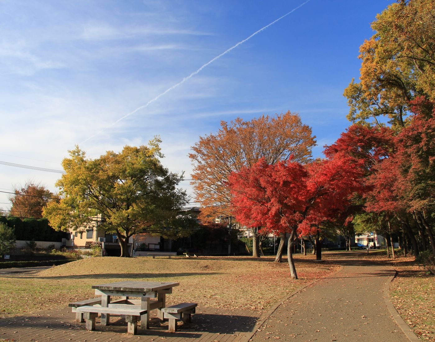 🌳 코미야 공원(코미야 코엔) 이미지 2